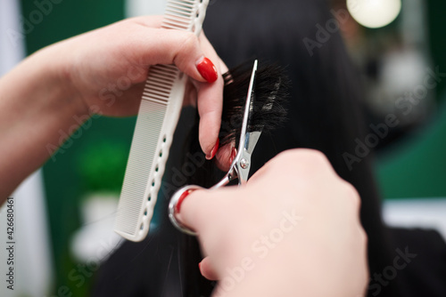 Professional hairdresser making haircut for female client. Close-up picture of hair stylist's hands holding scissors and comb, cutting shiny black hair. Work process in barber shop.
