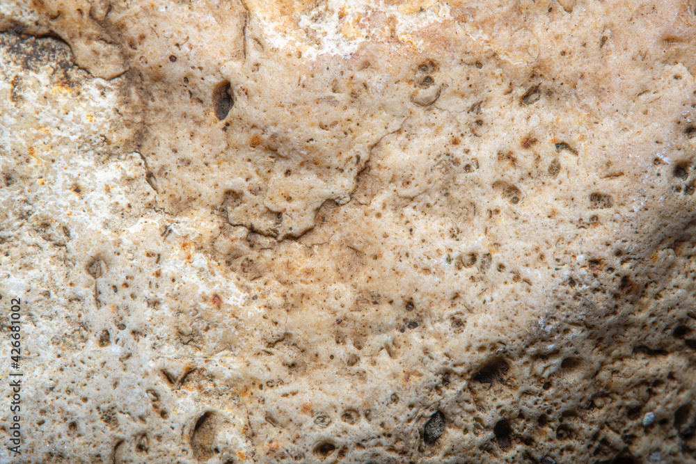 Background with the surface of a piece of light stone with small holes in soft focus under high magnification Background with the surface of a piece of light stone with small holes in soft focus under high magnification