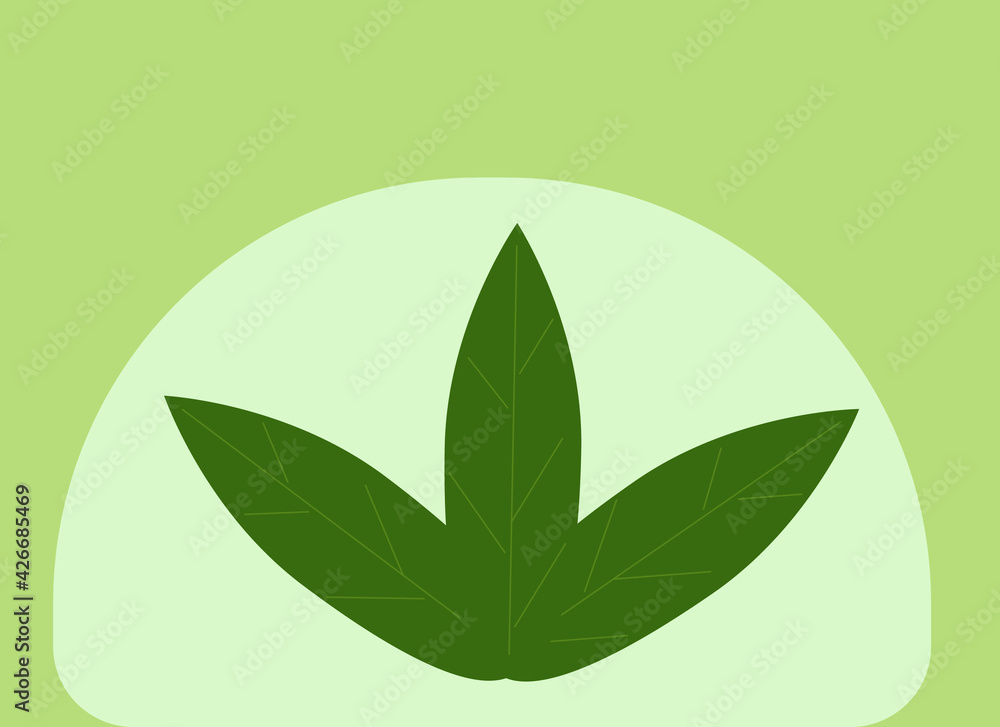 Three green leaves on a green background Three green leaves on a green background