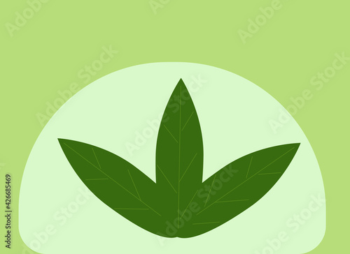 Three green leaves on a green background