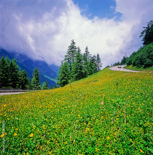 Alpine Road  Austria
