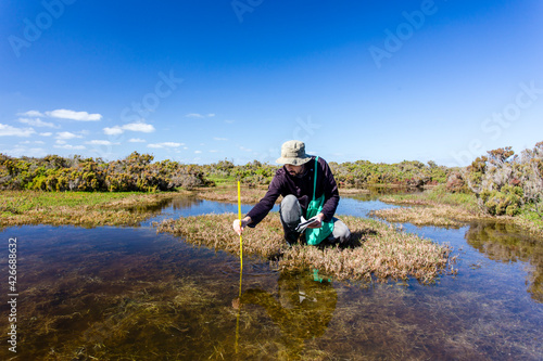 Scientist measuring environmental water quality parameters in a wetland.