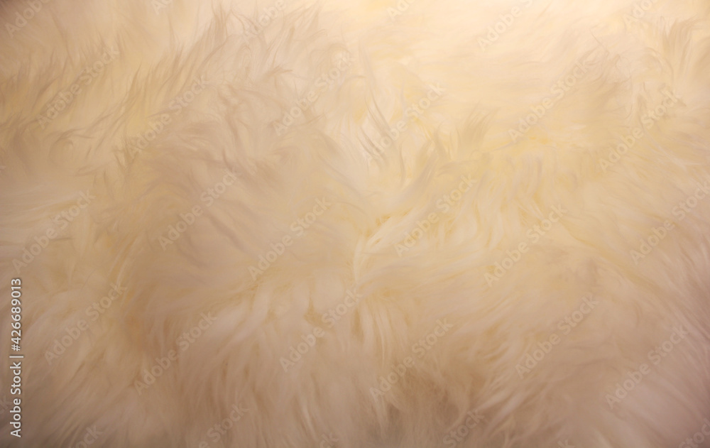fur texture. fake fur texture. fur texture. fake fur texture.