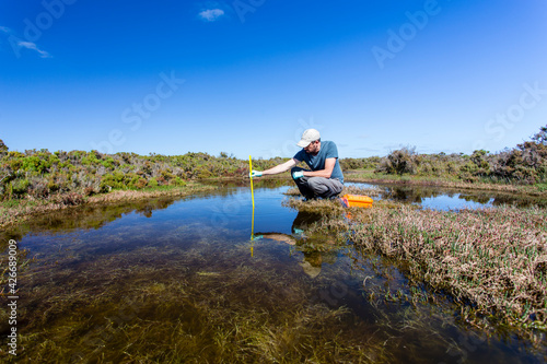 Konstfotografi Scientist measuring environmental water quality parameters in a wetland