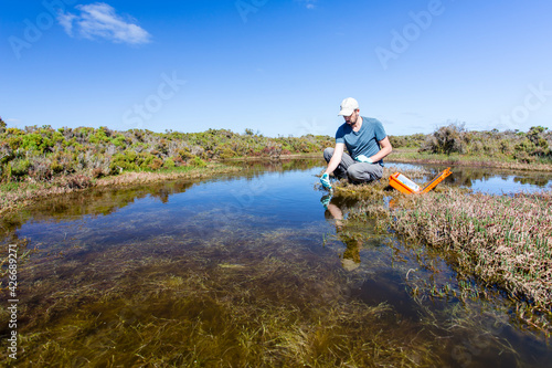 Scientist measuring environmental water quality parameters in a wetland.