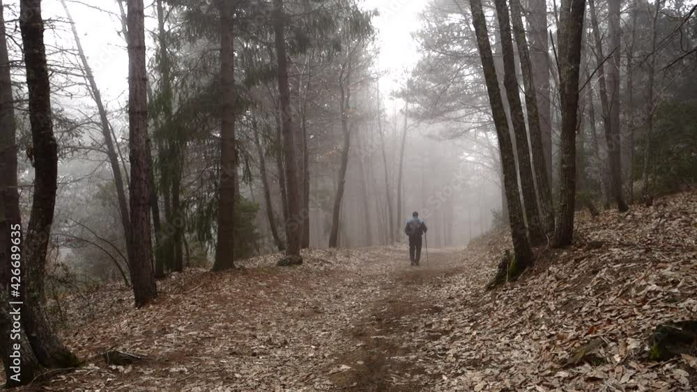 outdoor activities in the nature of Sicily mountains hiker in the fog down on wooded path in Etna Park outdoor activities in the nature of Sicily mountains hiker in the fog down on wooded path in Etna Park