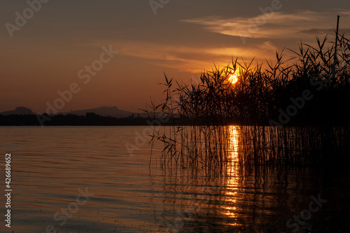 Wunderschöner Sonnenuntergang durch das Schilf  an einem See fotografiert