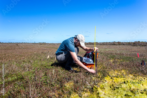 Scientist setting up a water level logger in a wetland.