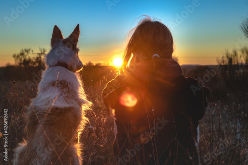 Primer plano de podenco y persona sentados en el campo contemplando el atardecer de fondo con un cielo azul despejado photo