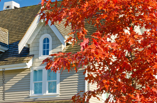 Photography Fragment of a nice house over beautiful red maple tree in Vancouver, Canada