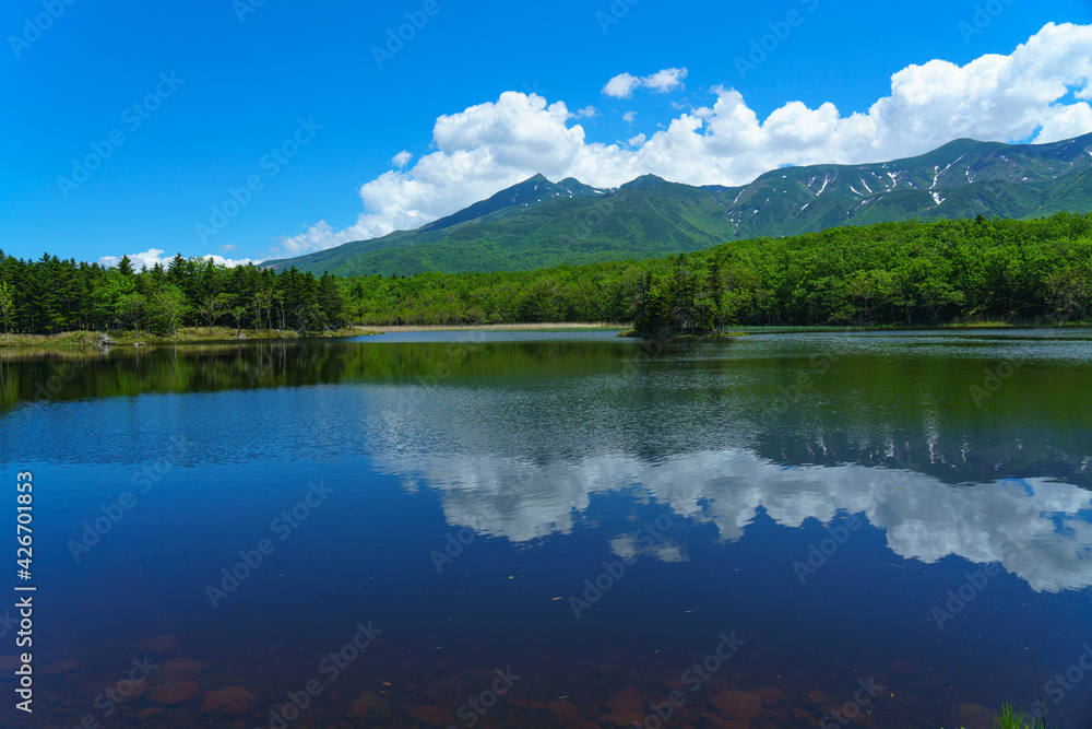 知床五湖 北海道道東世界遺産 知床五湖 北海道道東世界遺産