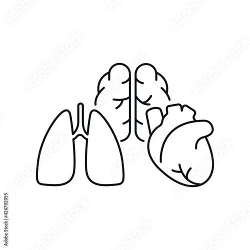 Human organs linear icon. Donation. Lungs heart, brain. Surgical medicine. Thin line customizable illustration. Contour symbol. Vector isolated outline drawing. Editable stroke