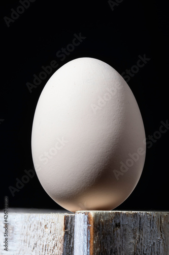 balnced egg on edge photo