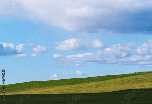 Green field and blue sky, concept of nature, outdoor relax.