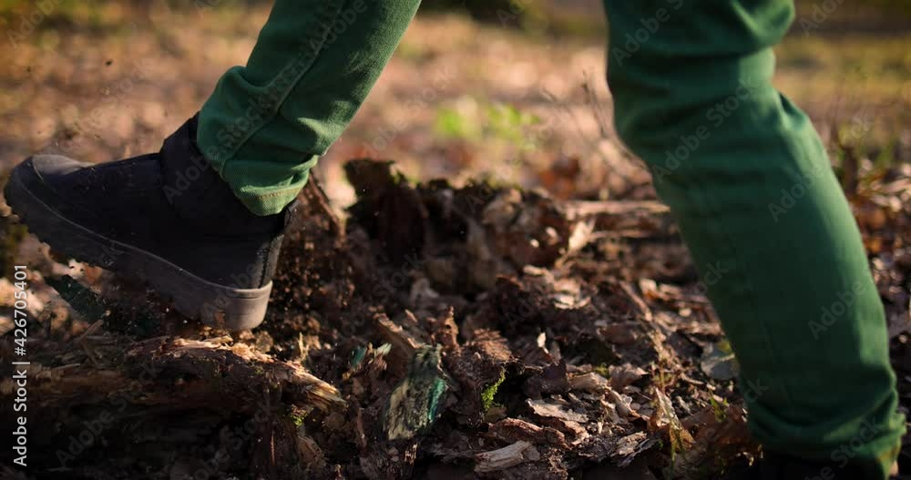 a sudden knock destroying a rotten stump, that is blasting with a lot of dust particles a sudden knock destroying a rotten stump, that is blasting with a lot of dust particles
