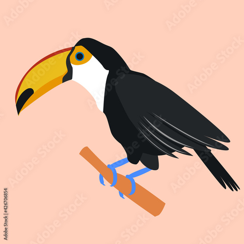 toucan. tropical bird. toucan beak on a pink background. stock vector illustration.