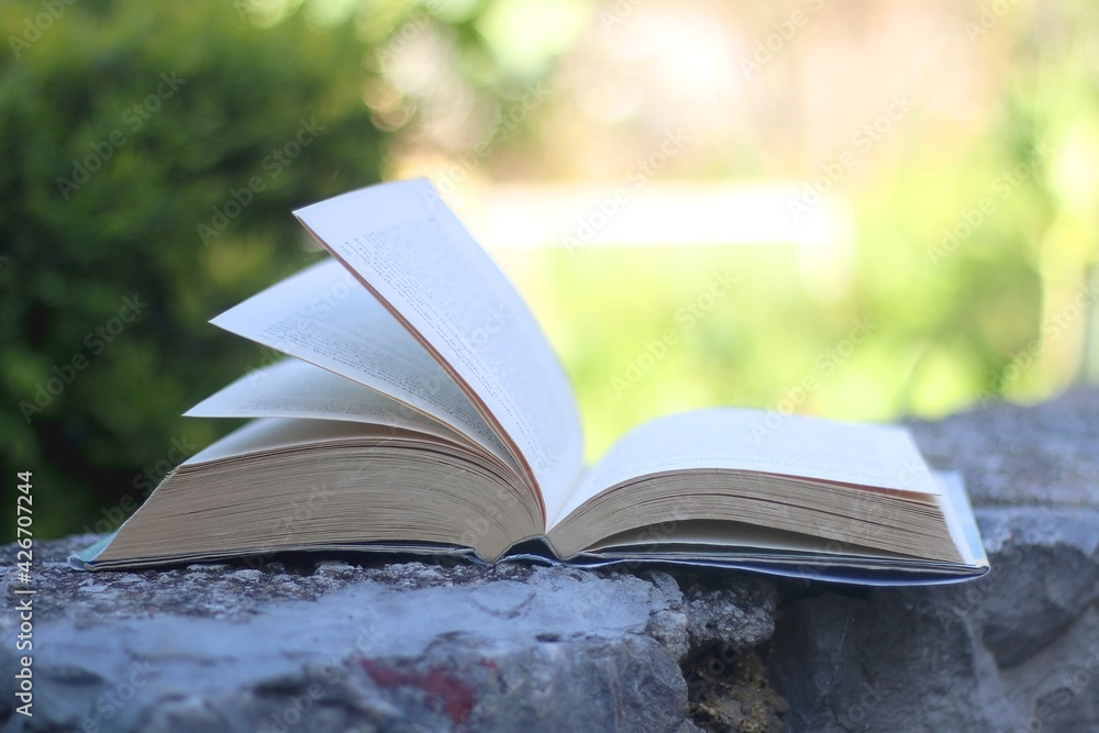 Open book in a garden. Selective focus. Open book in a garden. Selective focus.