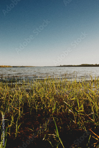 Vertical shot ofbeautiful scenery on a lakeshore photo