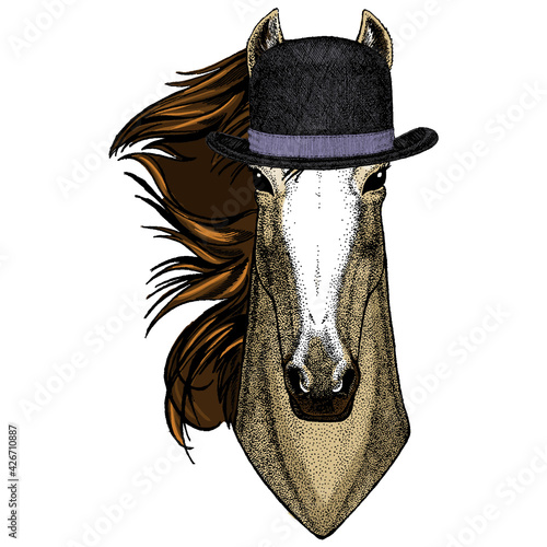 Horse head, horse portrait. Animal face for logo, emblem, tee shirt. Bowler hat.