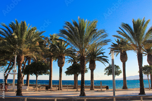 palm trees on the beachfrom Cambrils-Spain