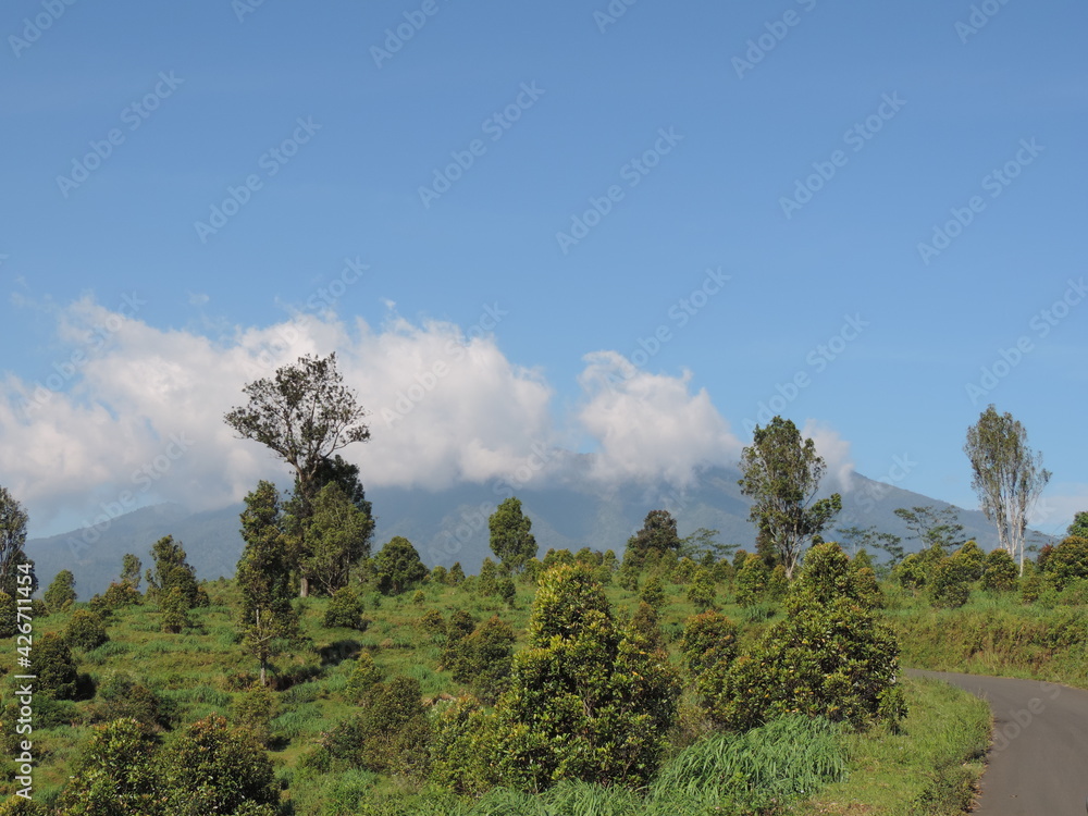 hill view photo with blue sky background hill view photo with blue sky background