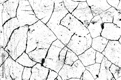 crack ground for abstract background on white background