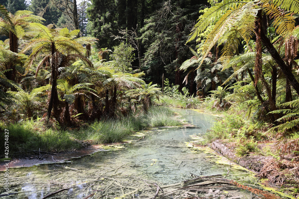 Neuseeland Landschaft / New Zealand Landscape Neuseeland Landschaft / New Zealand Landscape