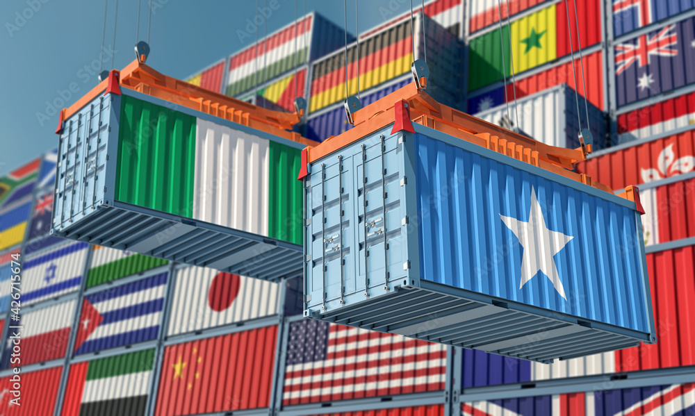 Freight containers with Somalia and Nigeria national flags. 3D Rendering 