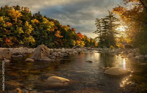 The sun light is soften by trees in fall colors and reflected in the river water wide, East fork Pemigewasset River, White Mountain NF, New Hampshire