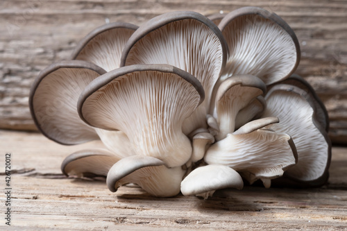 Oyster mushrooms on a wooden board