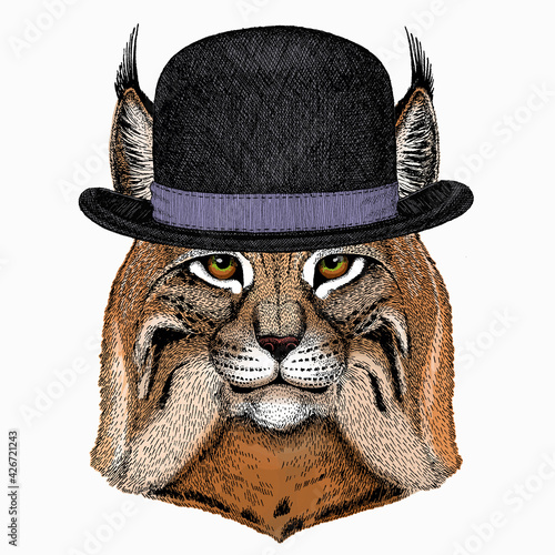 Lynx, bobcat. Wild cat. Vector portrait of cat head. Bowler hat.