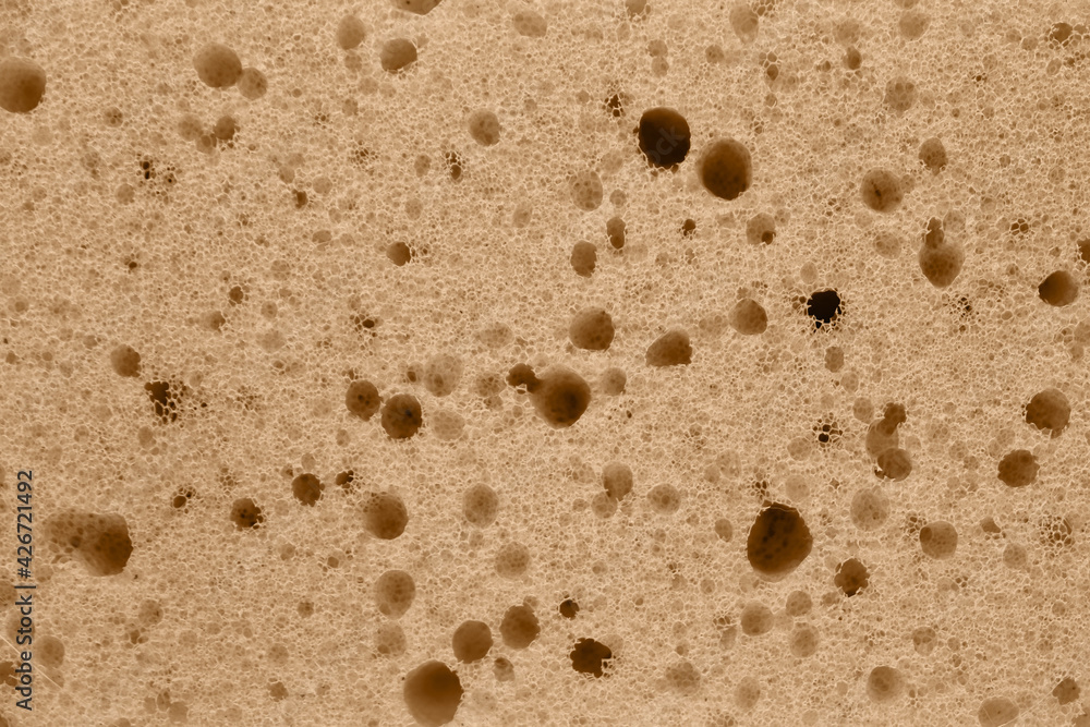 The texture of a dish washing sponge. A porous surface. The texture of a dish washing sponge. A porous surface.