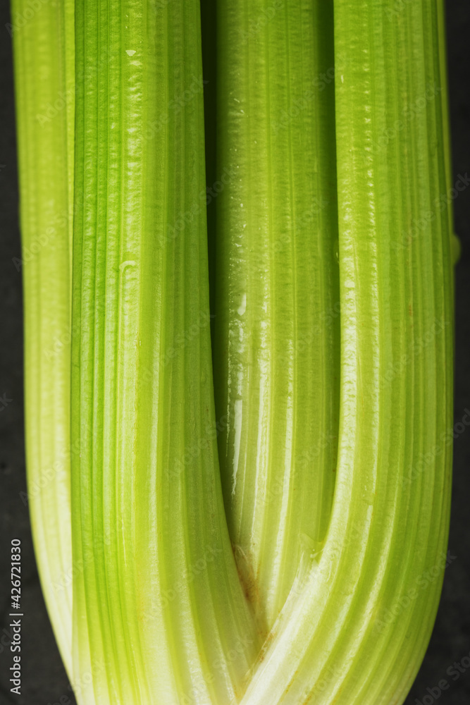 Fresh celery stalks close-up as a full-screen texture. Fresh celery stalks close-up as a full-screen texture.