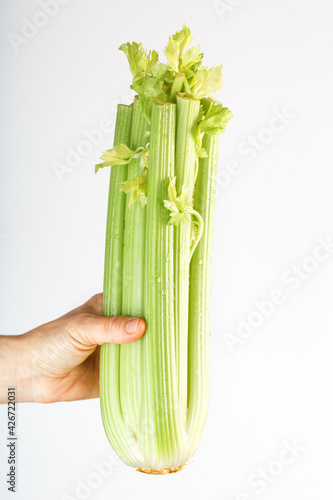 Fresh celery at arm s length. on a white background.