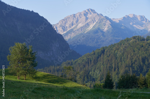 Blick vom Aussichtspunkt Hoffmannsruh auf Berggipfel des Allgäuer Alpenhauptkamms südlich von Oberstdorf