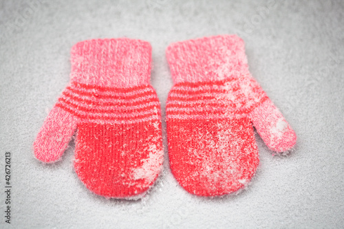 Red mittens in the winter forest. Frozen plants . Snow and snowflakes on the background.