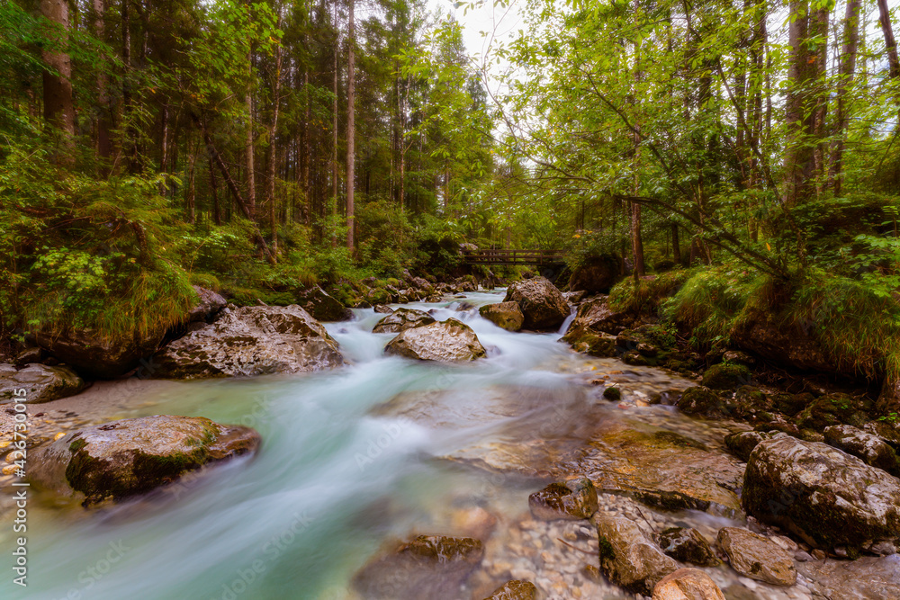 Obraz premium Bach im Wald bei Ramsau