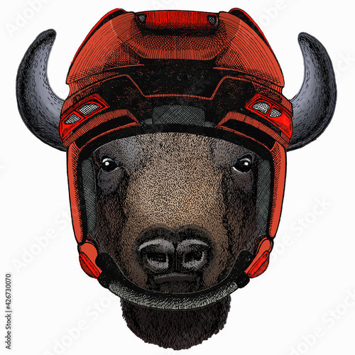 Vector bison head. Portrait of bull, buffalo. Hockey helmet.