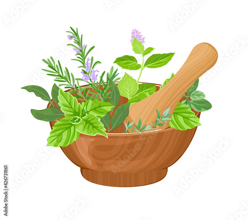 Vector mortar, pestle and fragrant fresh herbs isolated on white background. Cartoon flat illustration.