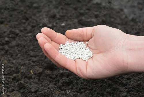 Fertilizing soil with mineral fertilizer in spring. A gardener is adding mineral fertilizer to replenish the soil in the vegetable garden.