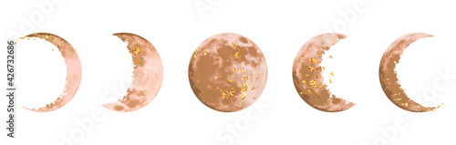 Beige and gold moon phases vector design set
