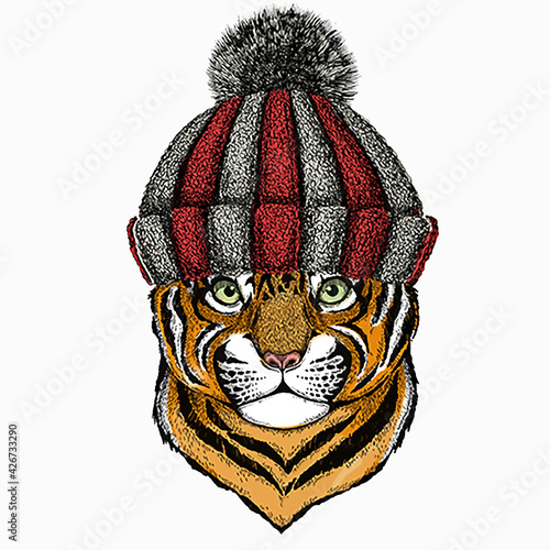 Baby tiger head. Small little tiger for children. Knitted winter warm wool hat.