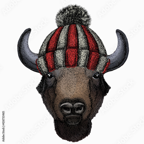 Vector bison head. Portrait of bull, buffalo. Knitted winter warm wool hat.