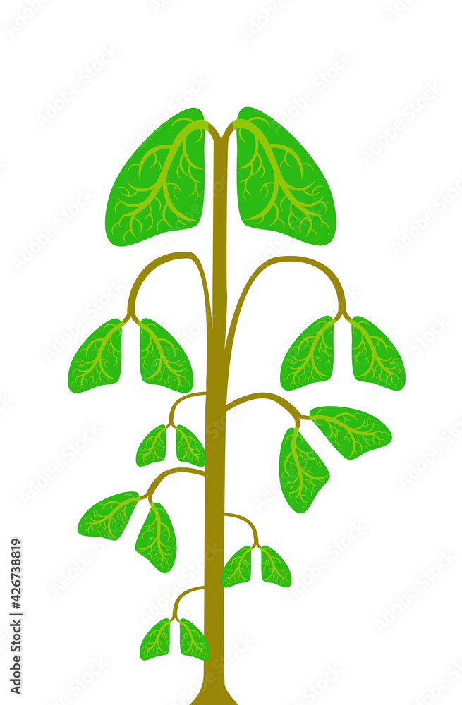 Lungs tree illustration vector