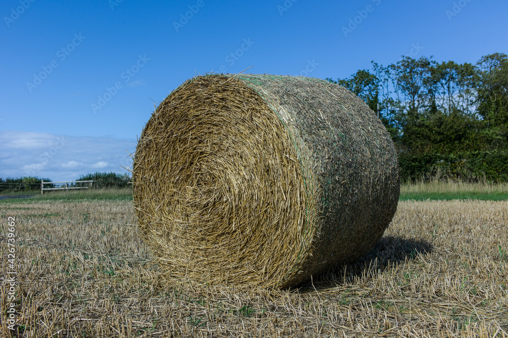 Landscape in the Cotswolds and Kent in the United Kingdom with a round bale of hay and blue sky Landscape in the Cotswolds and Kent in the United Kingdom with a round bale of hay and blue sky