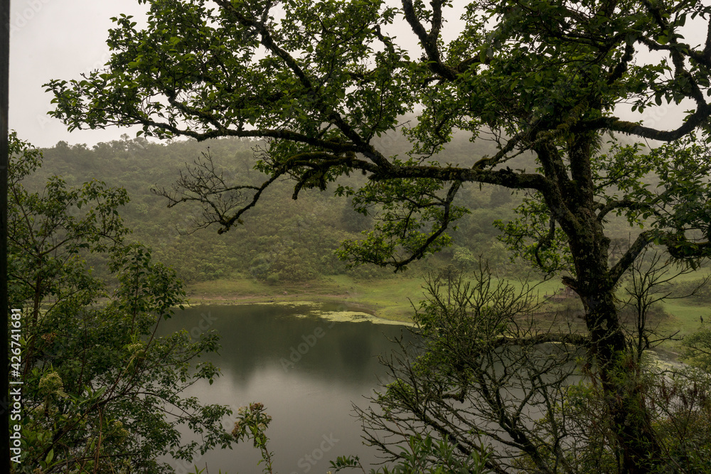 Naklejka premium it rains over the hidden lagoon
