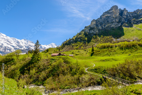 View of beautiful landscape in the Alps with fresh green meadows and snow-capped mountain tops in the background on a sunny day with blue sky and clouds in springtime.