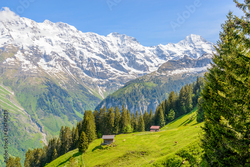 The Swiss Alps at Murren, Switzerland. Jungfrau Region. The valley of Lauterbrunnen from Interlaken. © karamysh
