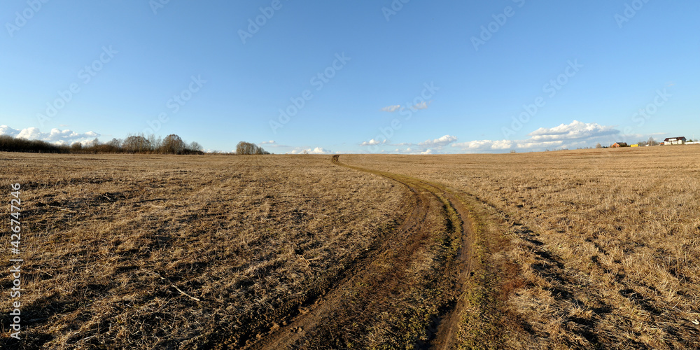 Spring walk through the forest, beautiful panorama. Spring walk through the forest, beautiful panorama.