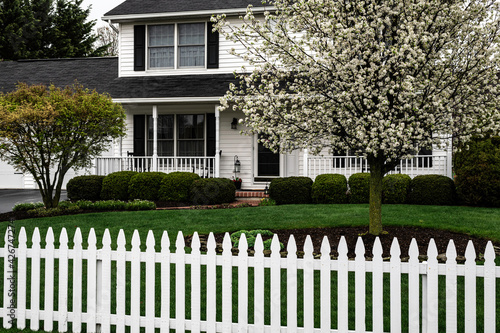 white colonial home with black shutters picket fence and flowering pear tree photo